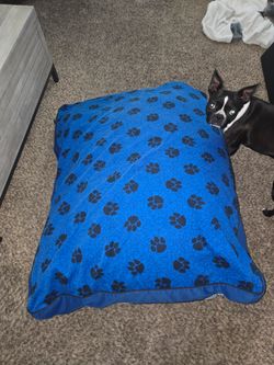 XL DOG BED