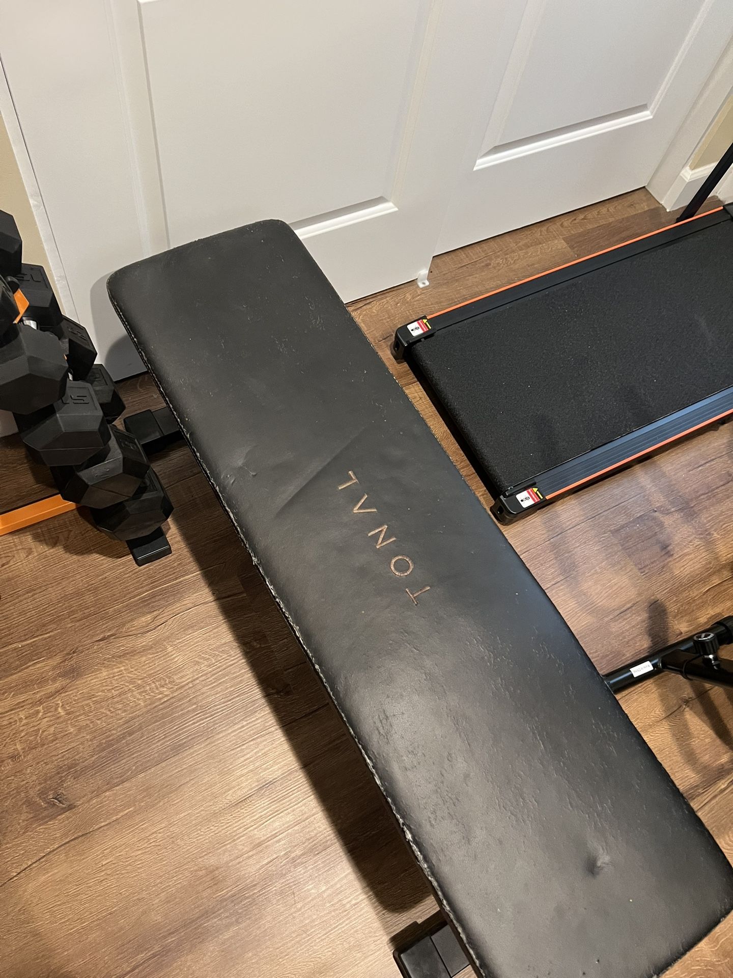 Exercise Bench