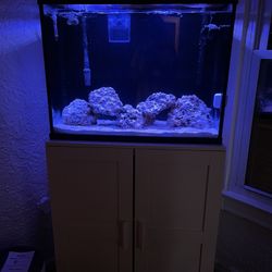 40 Gallon Saltwater Fish Tank 