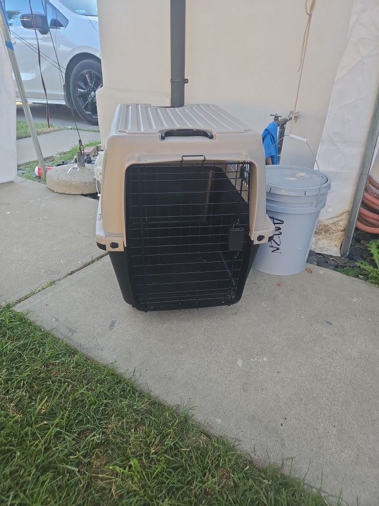 Dog Crate