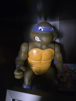Teenage Mutant Ninja Turtles