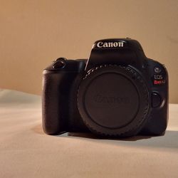 Canon Rebel SL2 w/ 3 lenses