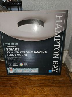 Hampton Bay ceiling light
