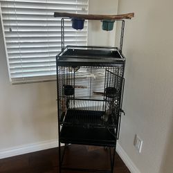 Bird Cage 