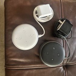 Amazon Alexa and Google Echo