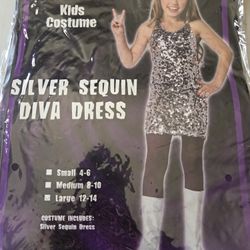 Disco Silver Sequin Diva Dress