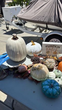 Lot of  Fall and harvest decor -