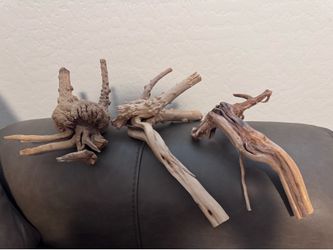 Natural driftwood for aquarium