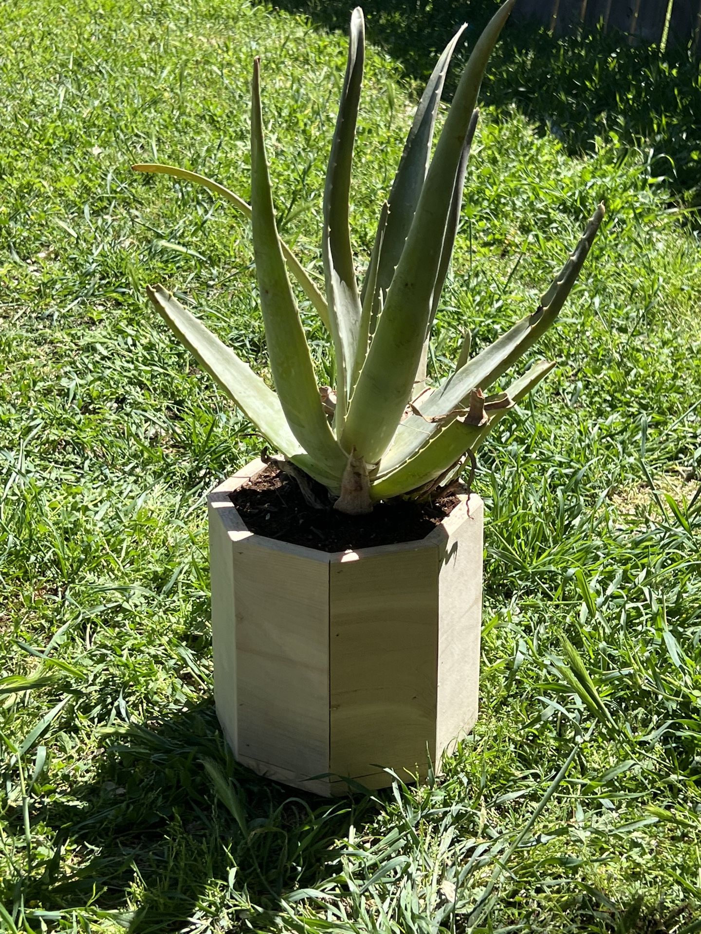 Plant Box