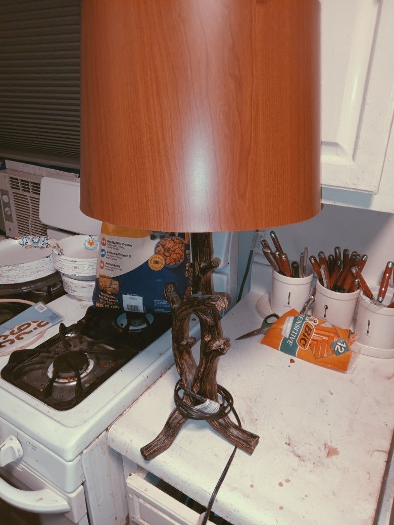Lamp With Crack Shade