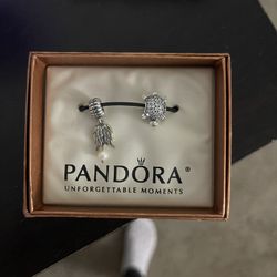 Pandora charm From Jared Brand New Angel Wings & Turtle 