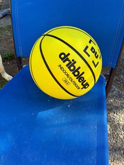 DribbleUp Smart Basketball