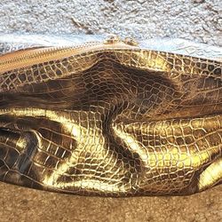 Gold Colored Cosmetics/Toiletry Bag