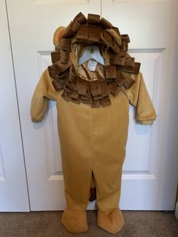 Lion costume