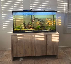Nate & Jeremiah Prime Oak Universal Stand - Up to 75G Aquarium Stand