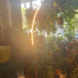 Floor Lamp Brand New (no Box)