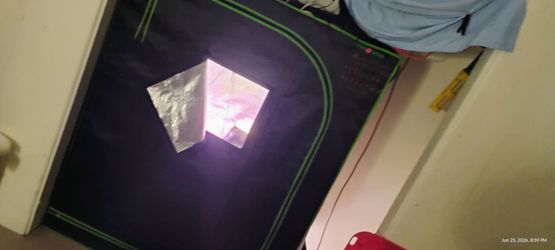Growers dream cum true  greenhouse