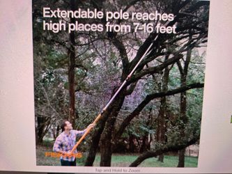 Fiskars tree pruner.  Extendable to 16 feet.
