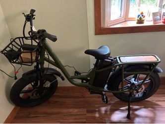Fiido T1 Cargo Electric Bike