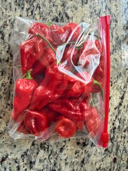 Ghost HOT Peppers 🌶️