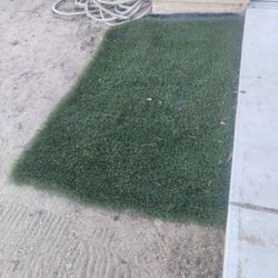 Artificial Grass Perfect For A Small Pet $15