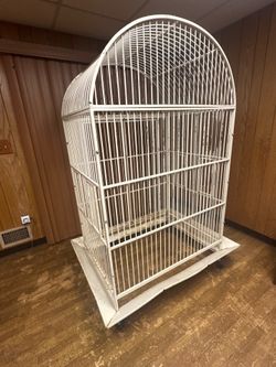 Large birdcage