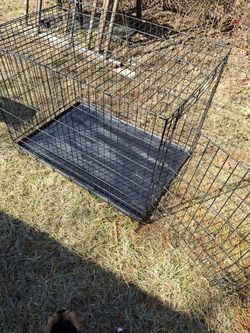 Big dog crate