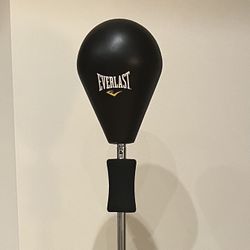 Everlast reflex/punching Bag