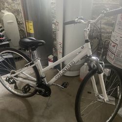 Adult Bike