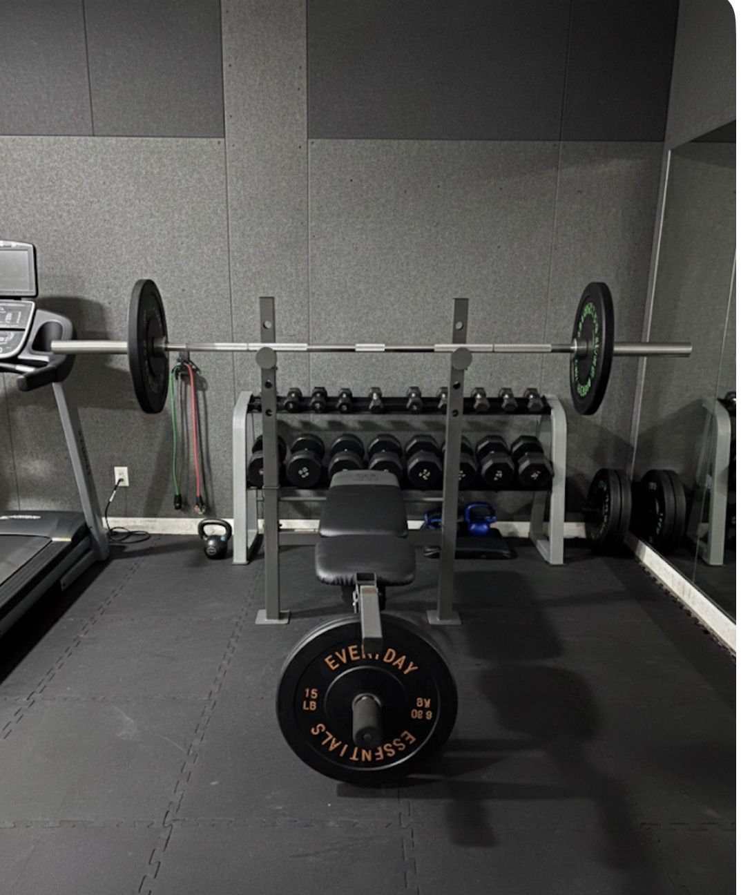 Bench, Olympic Bar And 100lbs Plates