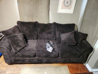 Couch (Dog Not Included)