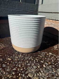5 plant pots for $5 all