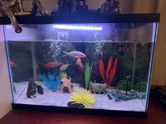 Aquarium