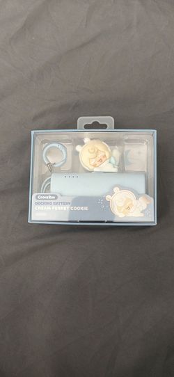 Light blue Portable Charger