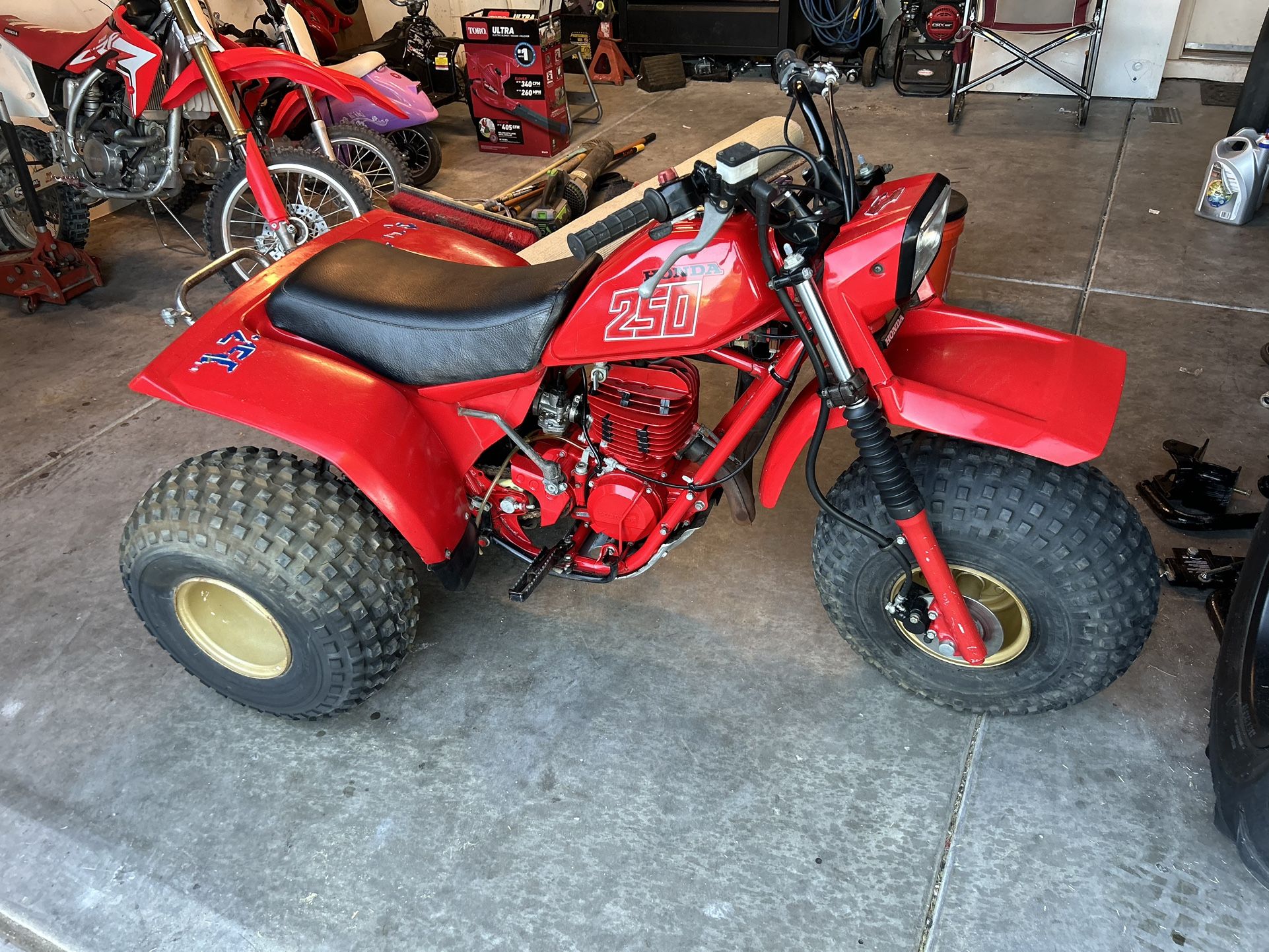 All Original 1981 ATC250r