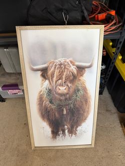 Cow frame