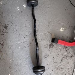 Weight Bench