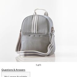 Pottery Barn Pump Bag