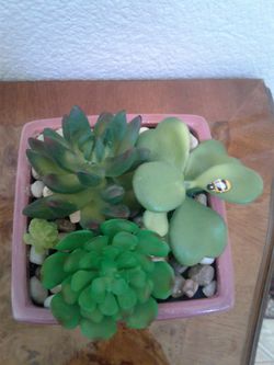 Artificial flowers in pot. $5 each