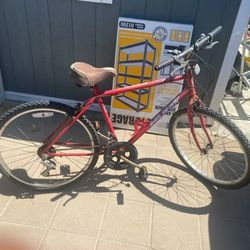 Adult Sized Commuting Bike 