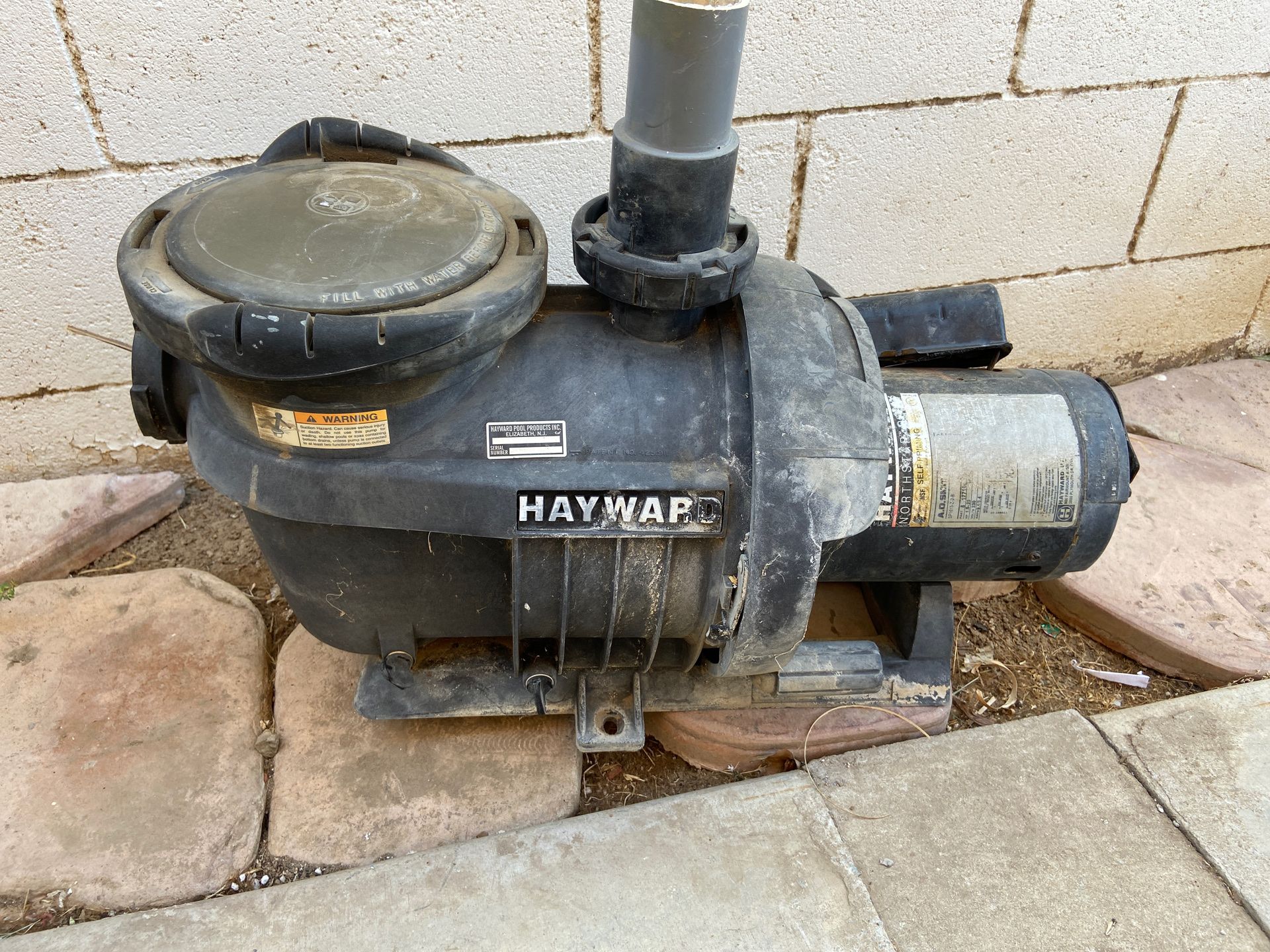 Hayward pool pump