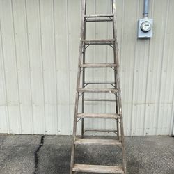 8 Foot Ladder. 