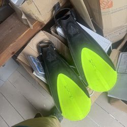Fins 