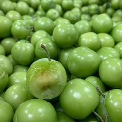 Sour green plum
