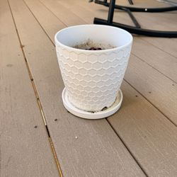White Ceramic Planter Pot