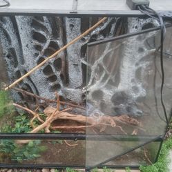 Reptile/Chameleon Enclosure