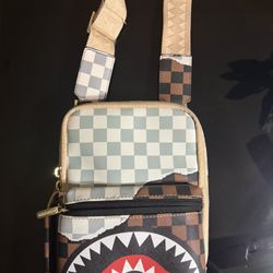 Sprayground Bag