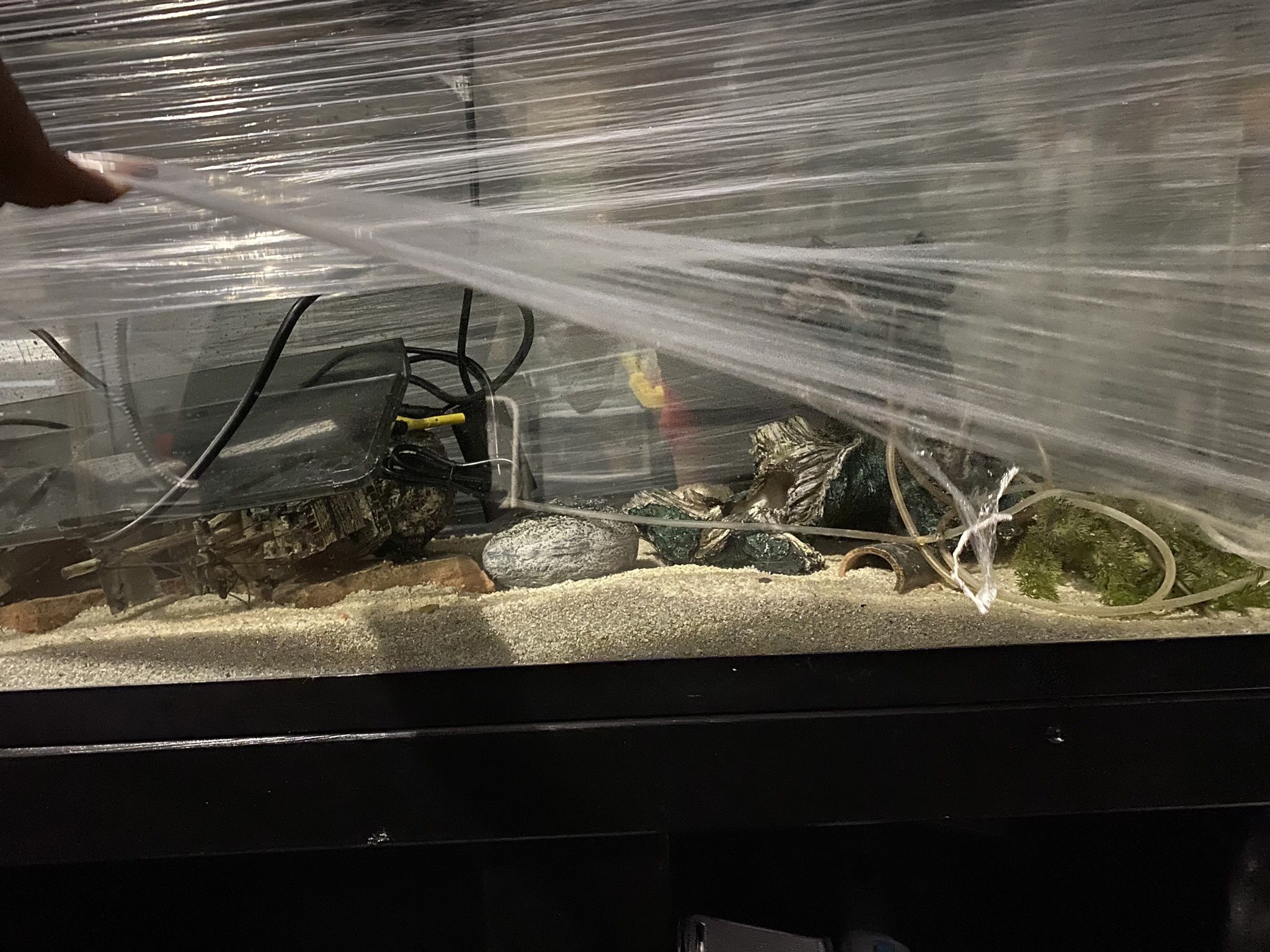 55 Gallon Tank 