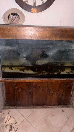 Large Glass Aquarium Tank with Wood Stand