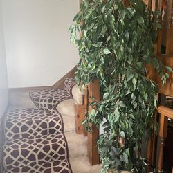 6 Foot Artificial Decorative Plant
